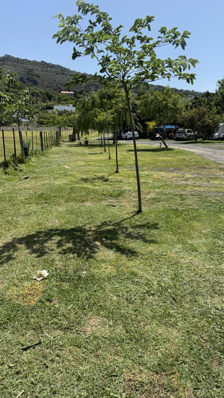 Espacios reservado para autocaravanas, Valdevaqueros, Tarifa, Cádiz