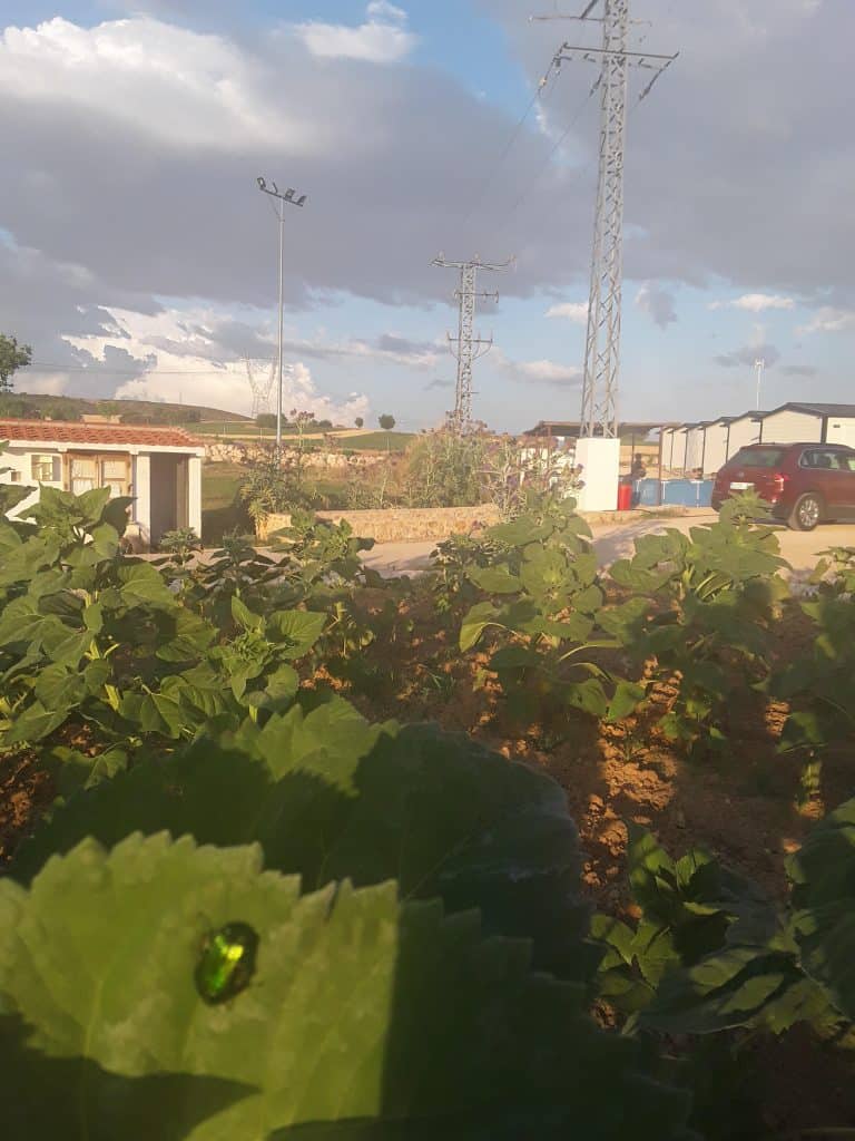 Área Autocaravanas Era 124,Cuenca — foto 5