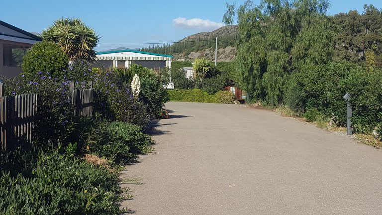 Área en Camping La Quinta Bella, Murcia — foto 4