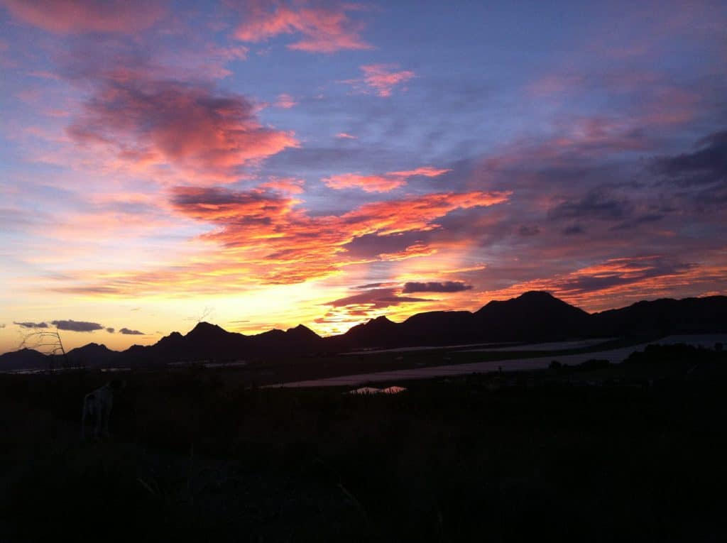 Área en Camping La Quinta Bella, Murcia — foto 2