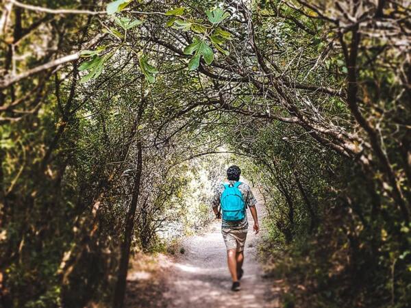 Opciones para disfrutar del turismo rural en España | Reserva de áreas ...