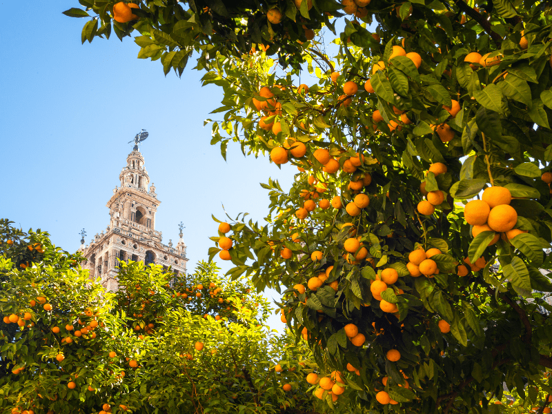 The corners that you have to see in Seville yes or yes