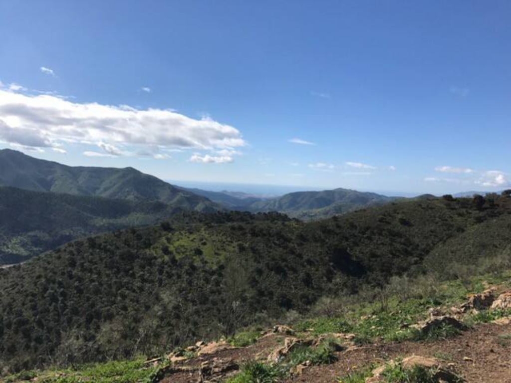 Vistas de Área Autocaravanas Privada Finca Colores, Casabarmeja, Málaga