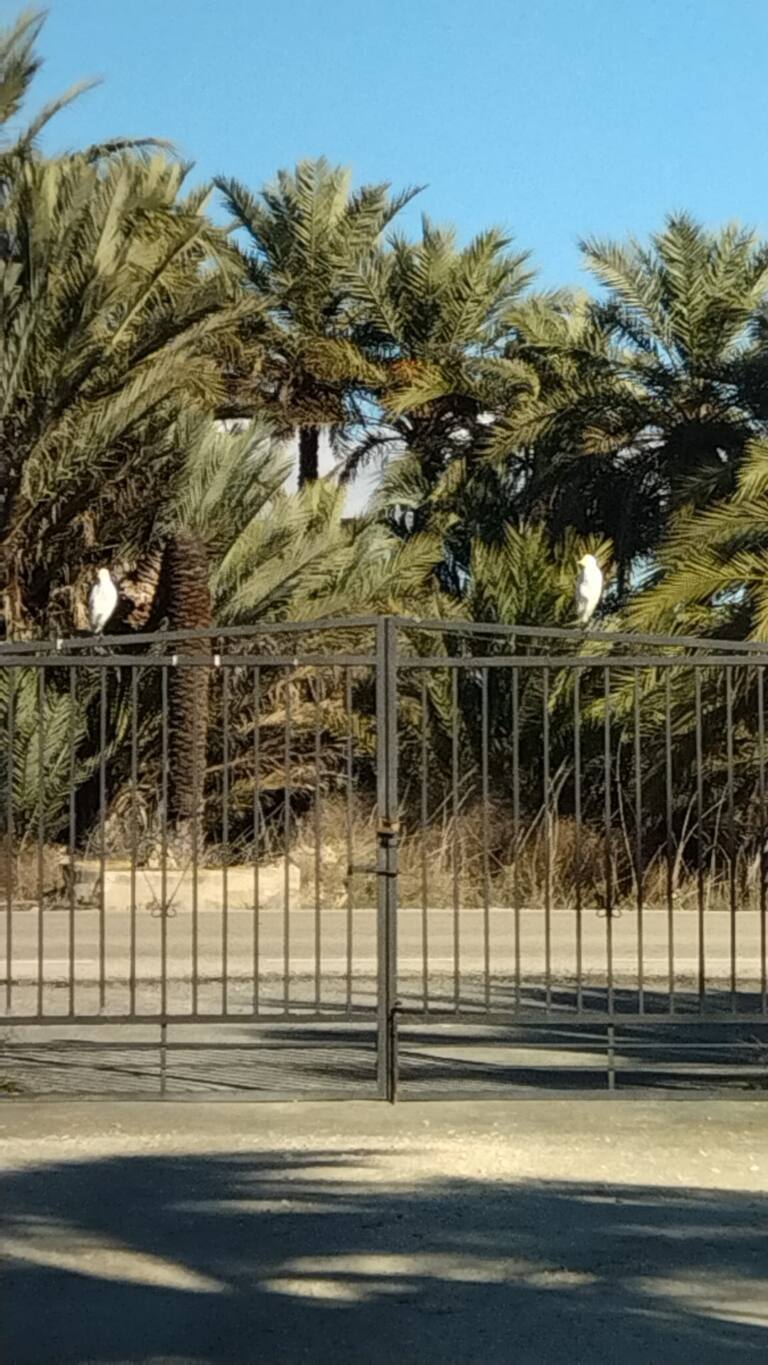 Entrada para a zona de autocaravanas do agroturismo El Hondo, Elche, Alicante