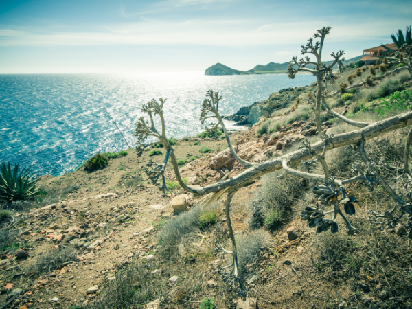 Las playas top que encontrarás en Cabo de Gata