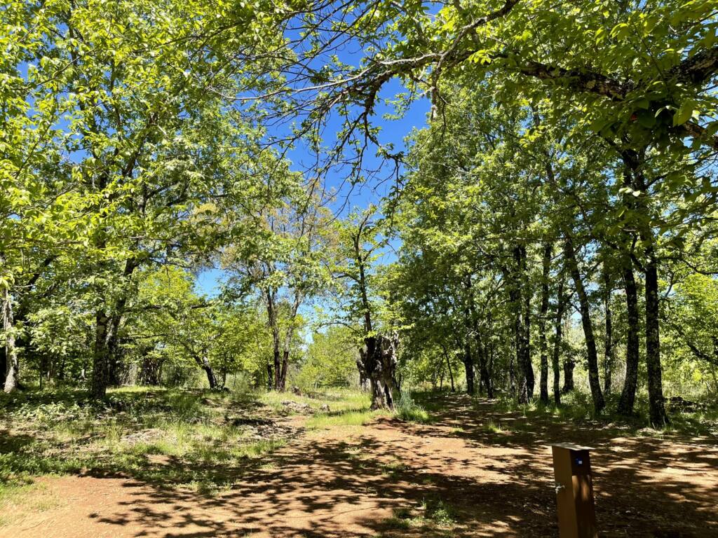 Área para autocaravanas no Camping El Madroñal, Sierra de Aracena, Huelva