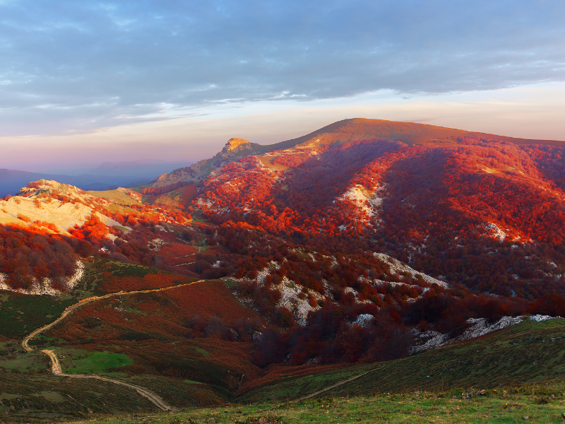 parque natural de gorbea