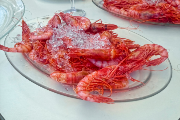 The dishes that Alicante have turned into the Spanish capital of gastronomy