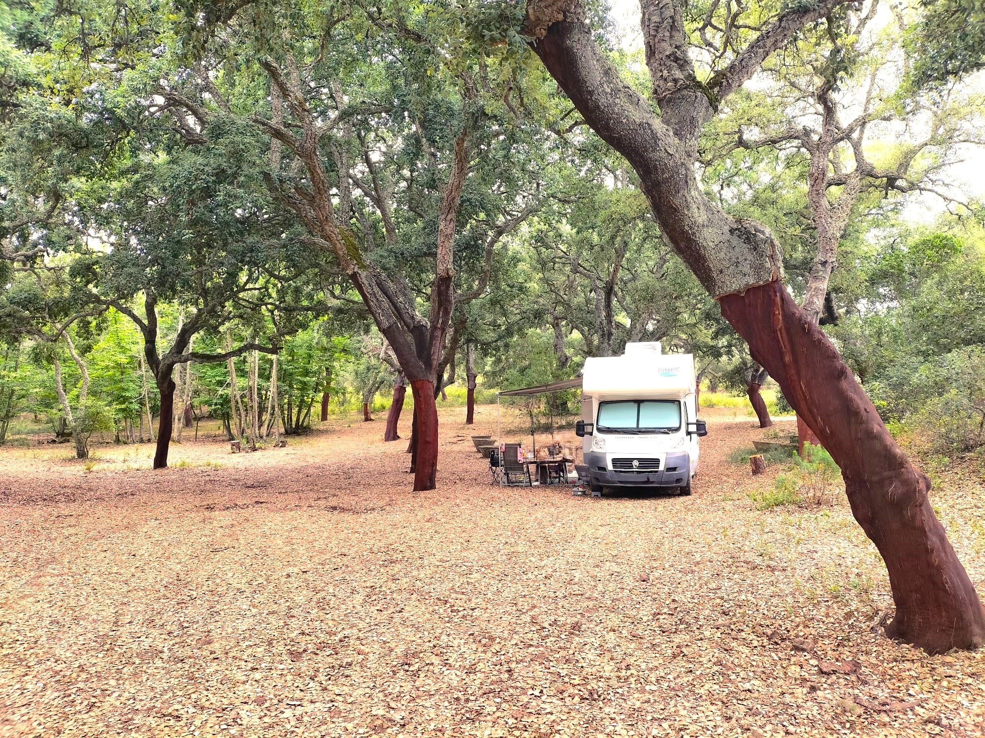 Aire de camping-car El Lagar de los Perezones, Cordoue.