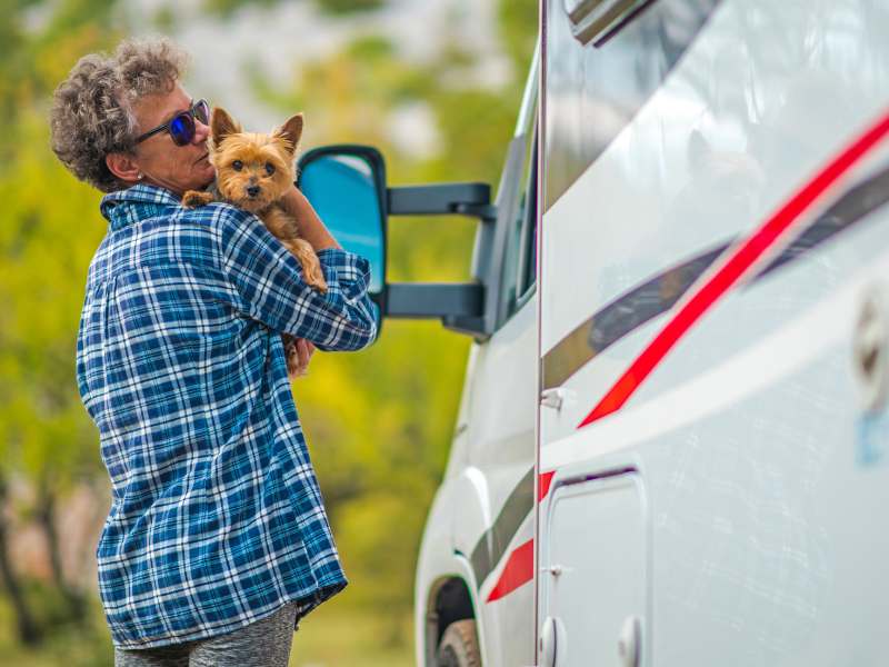 dónde viajar con perros en españa